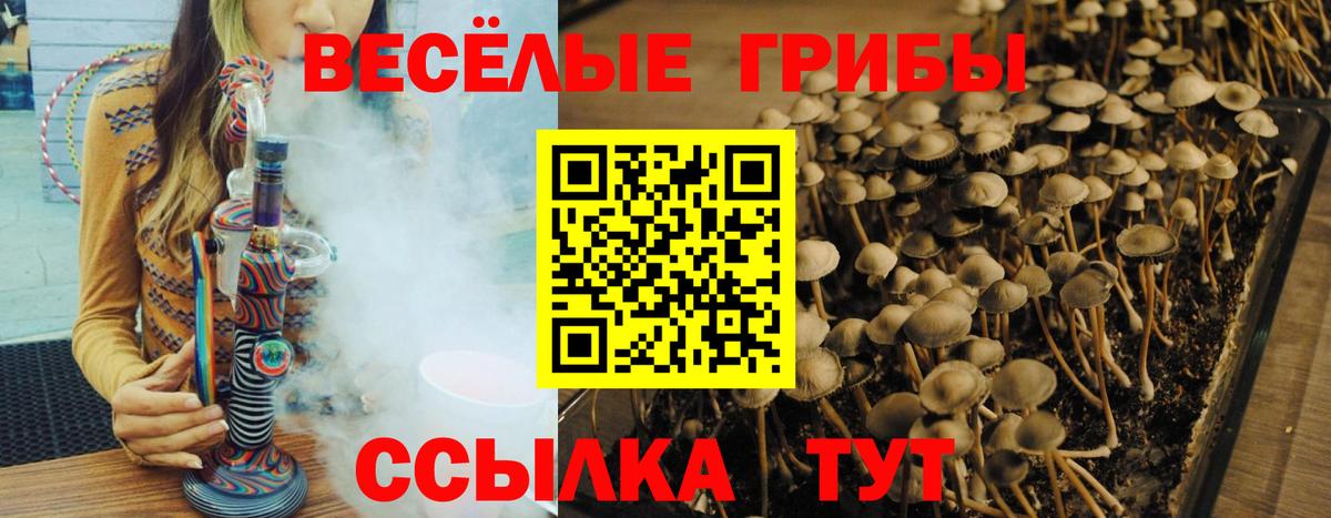 Псилоцибиновые грибы MAGIC MUSHROOMS Омск