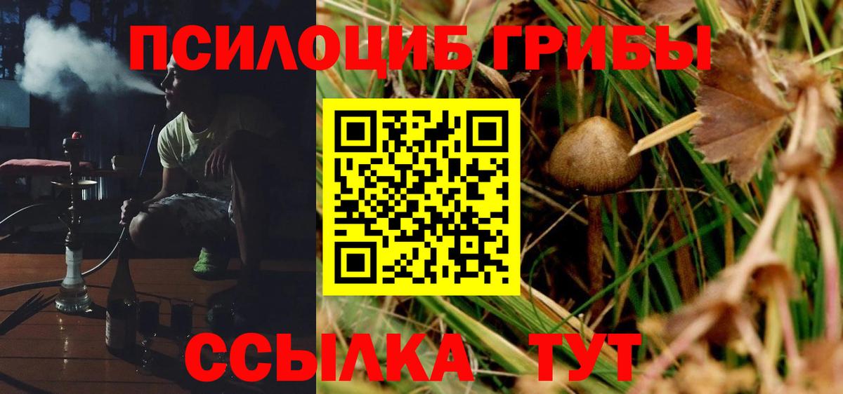 Псилоцибиновые грибы Cubensis  продажа наркотиков  Омск  Вход с VPN 